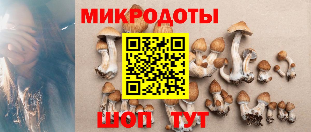Магнитогорск  Псилоцибиновые грибы прущие грибы  Вход с VPN 